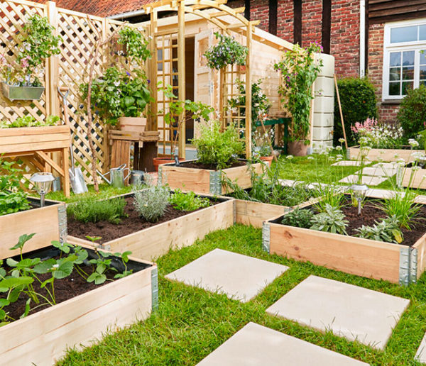 6 tutos et conseils pour créer son potager intérieur ou extérieur