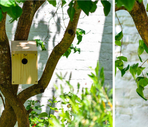 Tuto : Réalisez facilement un nichoir pour offrir un refuge aux oiseaux