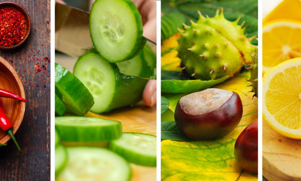 Fruits et légumes répulsifs de nuisibles : les recettes maison
