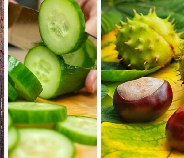 alternatives aux pesticides