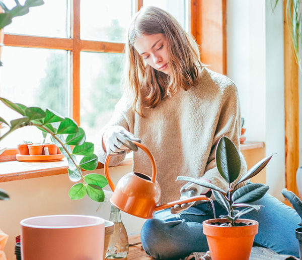 5 plantes d'intérieur faciles à entretenir en automne