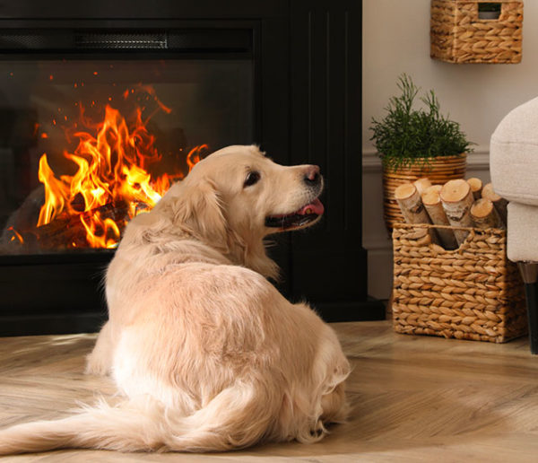 Comment bien entretenir et préparer sa cheminée avant l'arrivée du froid