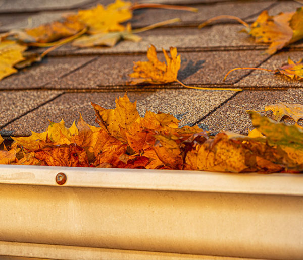 Cette astuce empêche les feuilles mortes de tomber dans les gouttières