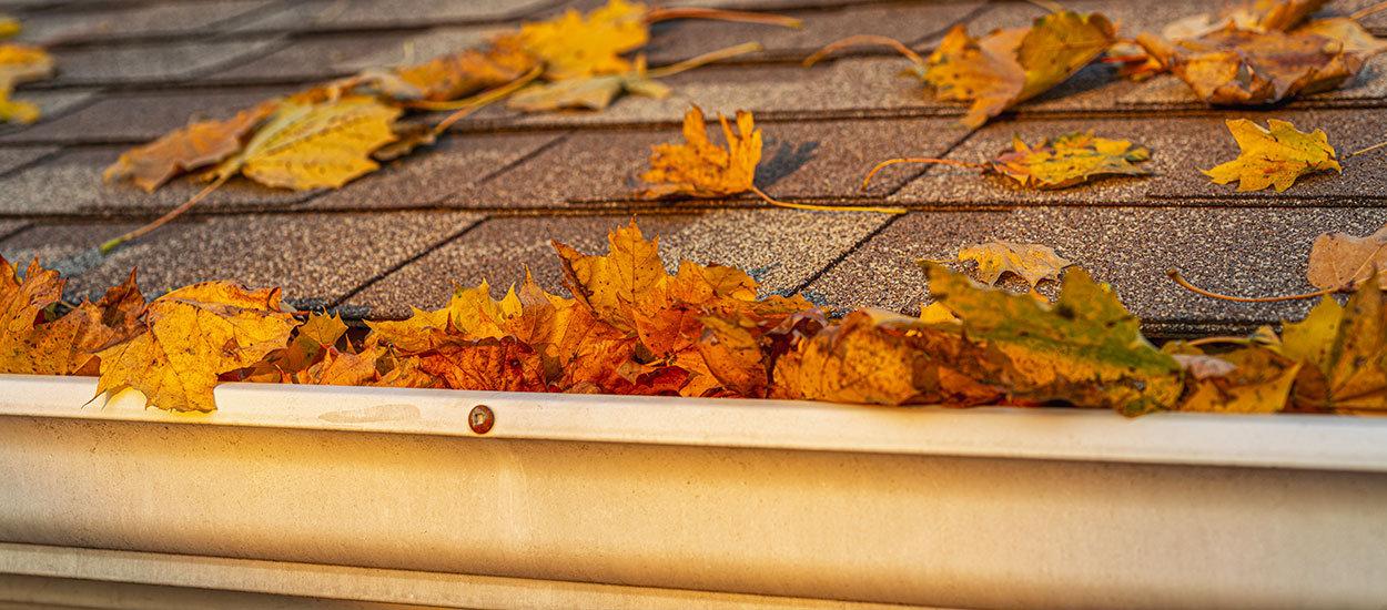 Cette astuce empêche les feuilles mortes de tomber dans les gouttières