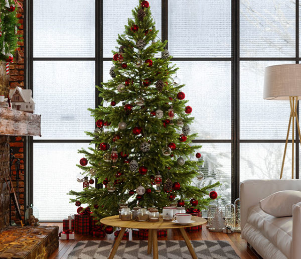 Comment choisir et entretenir son sapin de Noël de manière durable ?