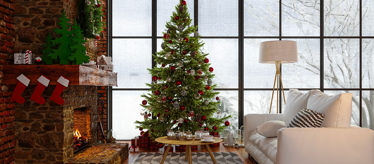 Comment choisir et entretenir son sapin de Noël de manière durable ?