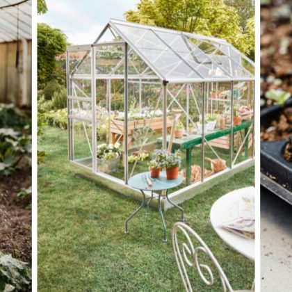 6 bonnes raisons d'installer une serre dans son jardin