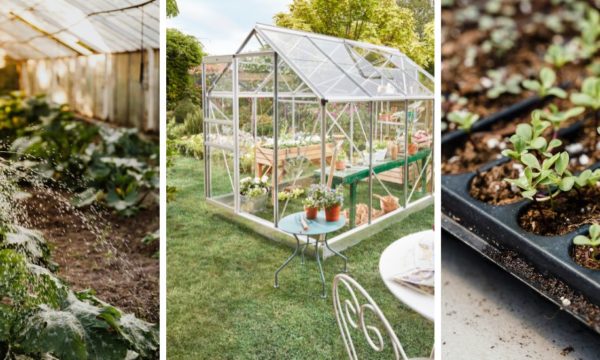6 bonnes raisons d'installer une serre dans son jardin