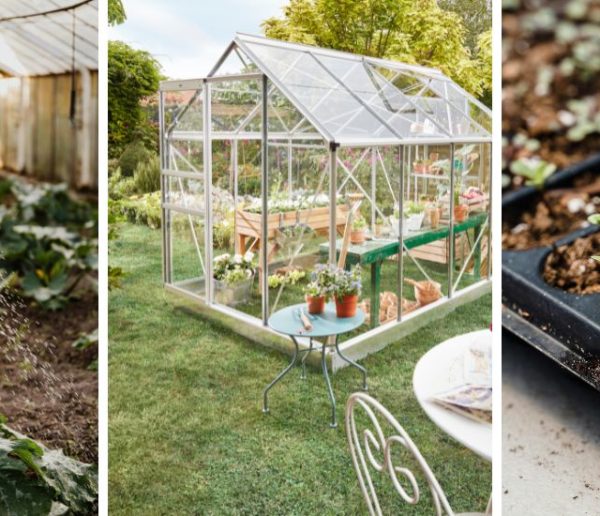 6 bonnes raisons d'installer une serre dans son jardin
