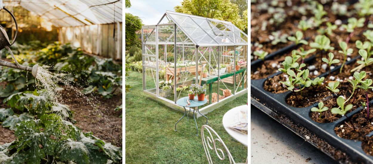 6 bonnes raisons d'installer une serre dans son jardin