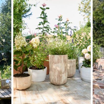 Jardin à l'anglaise : astuces pour adopter un style champêtre et élégant
