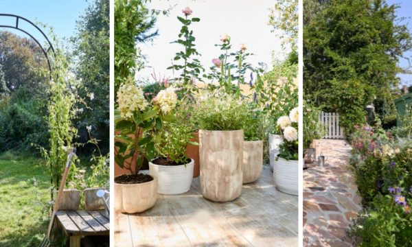 Jardin à l'anglaise : astuces pour adopter un style champêtre et élégant
