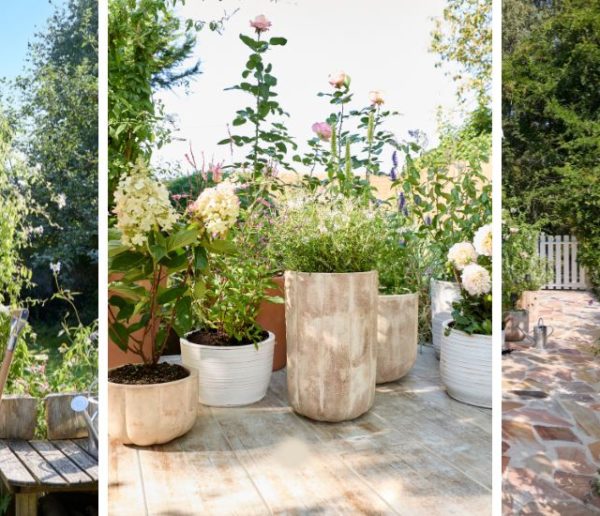 Plantes, Fleurs, Animaux