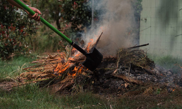 Brûler ses déchets verts dans son jardin : est-ce autorisé ?