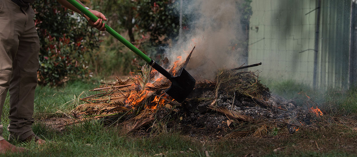 Brûler ses déchets verts dans son jardin : est-ce autorisé ?