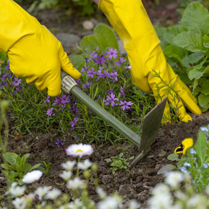 L'astuce infaillible pour ne plus avoir à désherber son jardin !