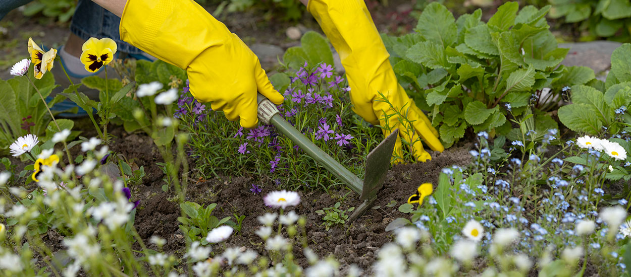 L'astuce infaillible pour ne plus avoir à désherber son jardin !