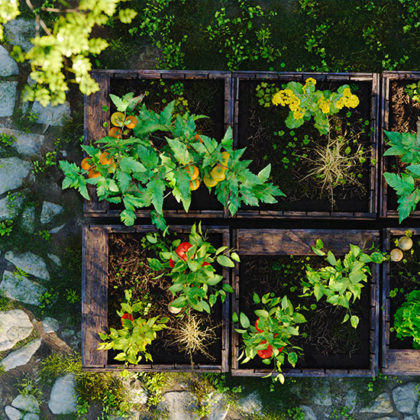 Comment imaginer un jardin durable (dans lequel il ne faudra pas racheter toutes vos plantes d'une année sur l'autre) ?