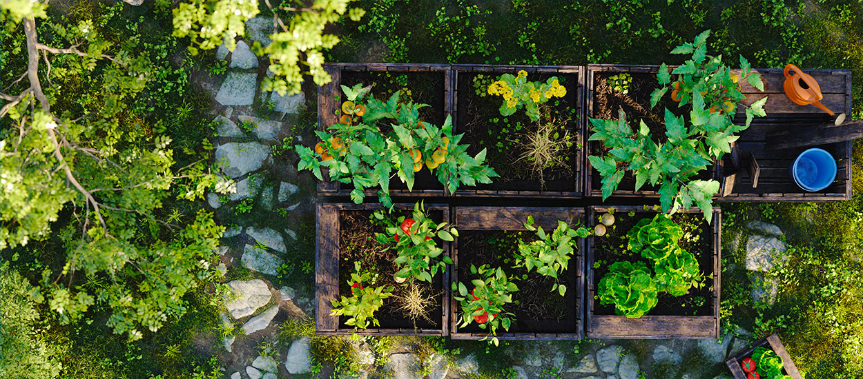 Comment imaginer un jardin durable (dans lequel il ne faudra pas racheter toutes vos plantes d'une année sur l'autre) ?