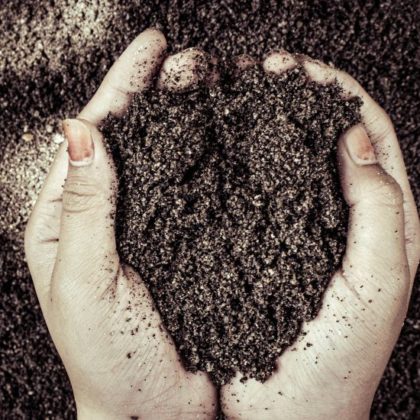 Comment choisir son terreau ?