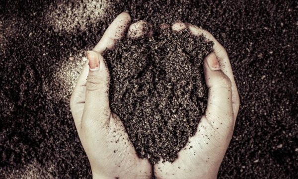 Comment choisir son terreau ?