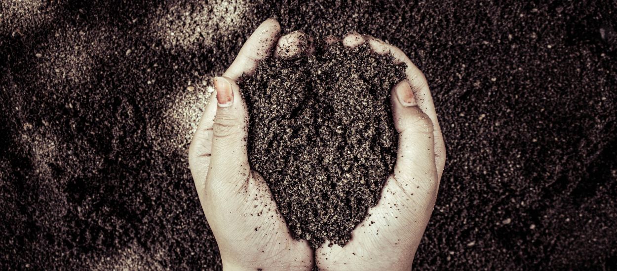 Comment choisir son terreau ?