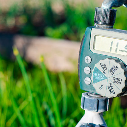 10 astuces pour entretenir son jardin sans gaspiller d'eau