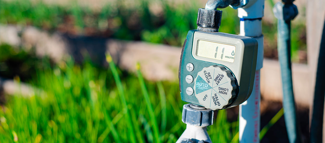10 astuces pour entretenir son jardin sans gaspiller d'eau