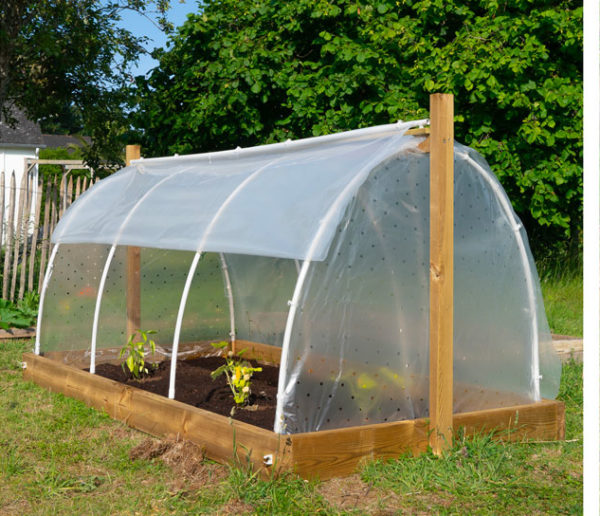 prendre-soin-de-ses-plantes