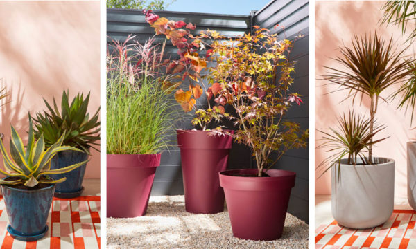 Pots de fleurs tendance pour l'extérieur : terre cuite, émaillé ou polypropylène ?