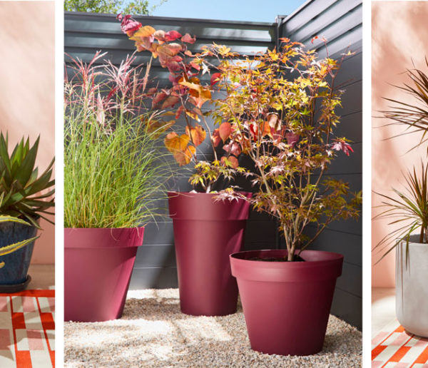 comment profiter de son jardin