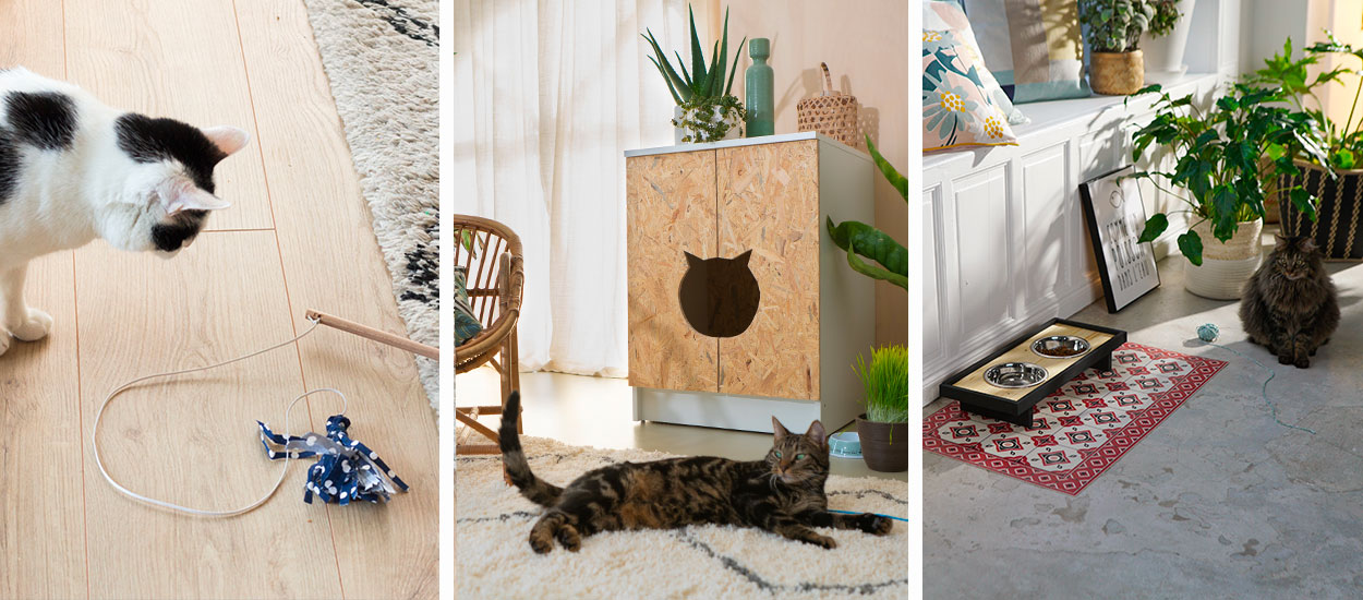 Best of : 8 tutos pour occuper son chat pendant les vacances