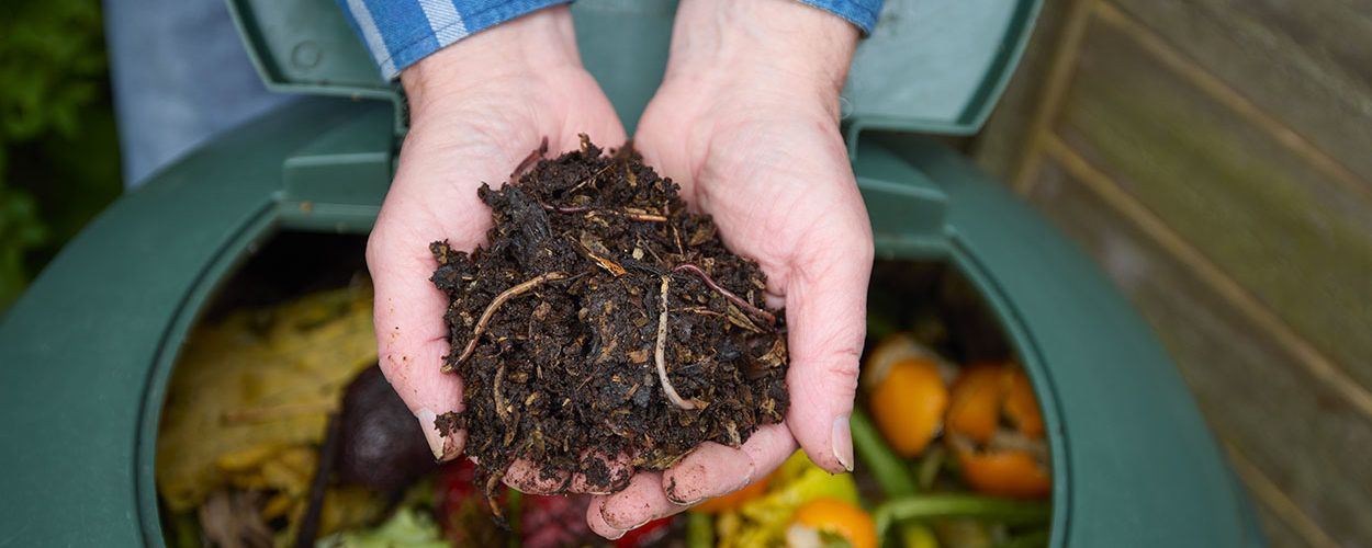 Compost : qui sont les petites bêtes qui transforment vos déchets en or ?