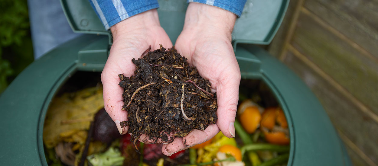 Compost : qui sont les petites bêtes qui transforment vos déchets en or ?