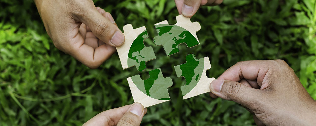Semaine du développement durable : comment s'engager pour un avenir plus vert ?