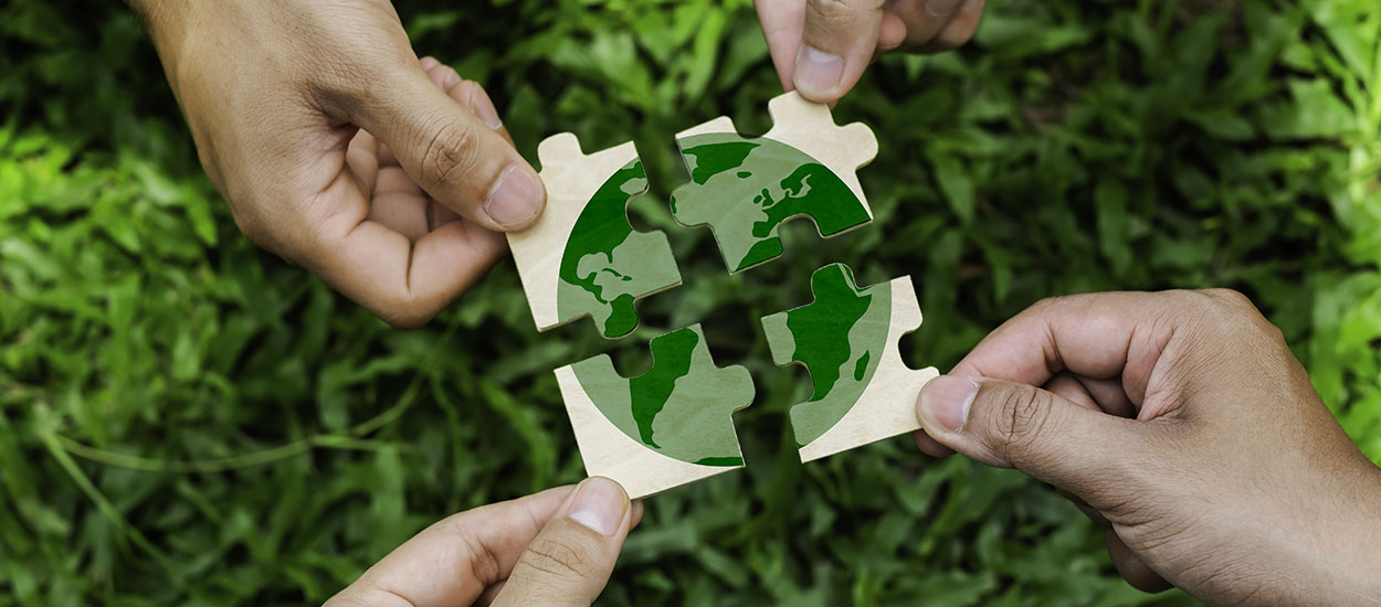 Semaine du développement durable : comment s'engager pour un avenir plus vert ?