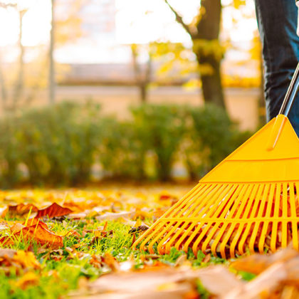 Check-list automnale pour votre jardin : entretien sans stress avant l'hiver
