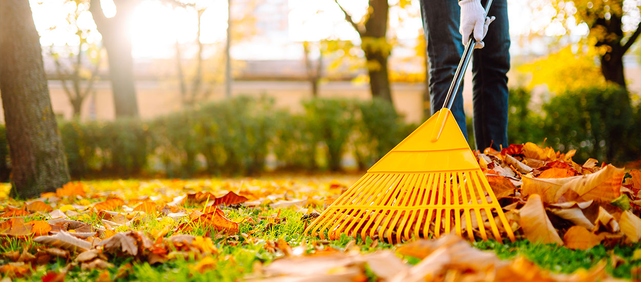 Check-list automnale pour votre jardin : entretien sans stress avant l'hiver