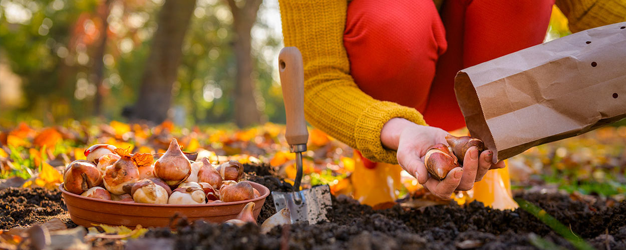 6 astuces futées pour préparer l'automne et avoir moins d'entretien au jardin