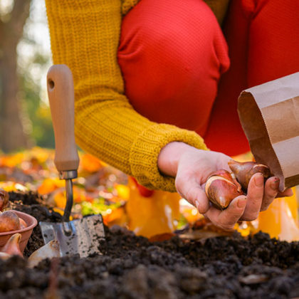 6 astuces futées pour préparer l'automne et avoir moins d'entretien au jardin