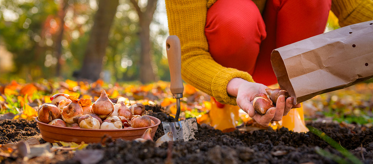 6 astuces futées pour préparer l'automne et avoir moins d'entretien au jardin