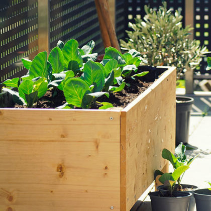 Comment transformer votre balcon en garde-manger à l'automne