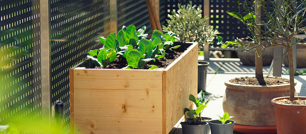 Comment transformer votre balcon en garde-manger à l'automne