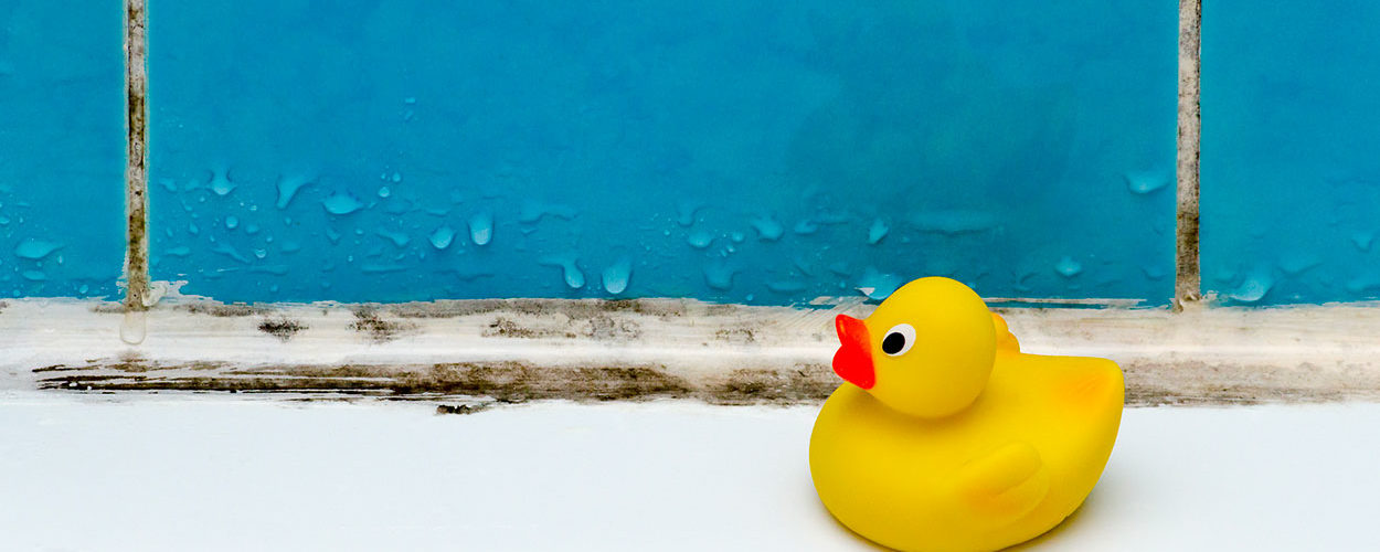 4 bons gestes pour éviter la condensation et la moisissure en hiver