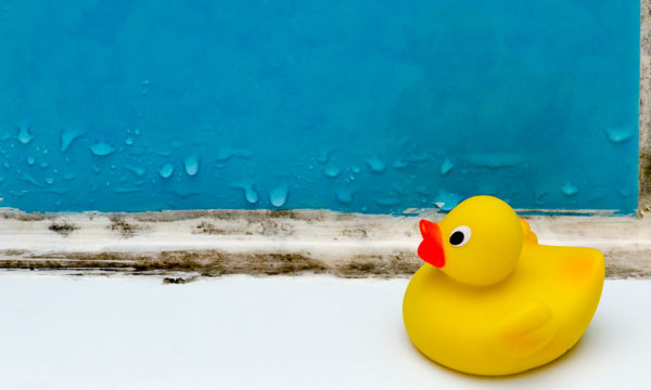 4 bons gestes pour éviter la condensation et la moisissure en hiver