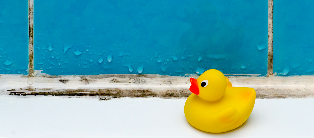 4 bons gestes pour éviter la condensation et la moisissure en hiver