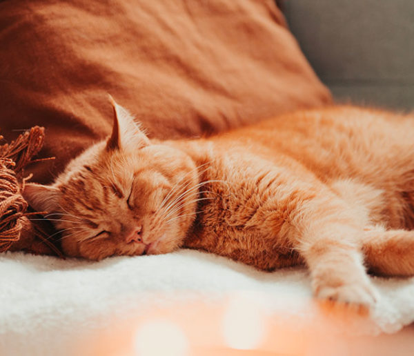 luminosité-à-la-maison