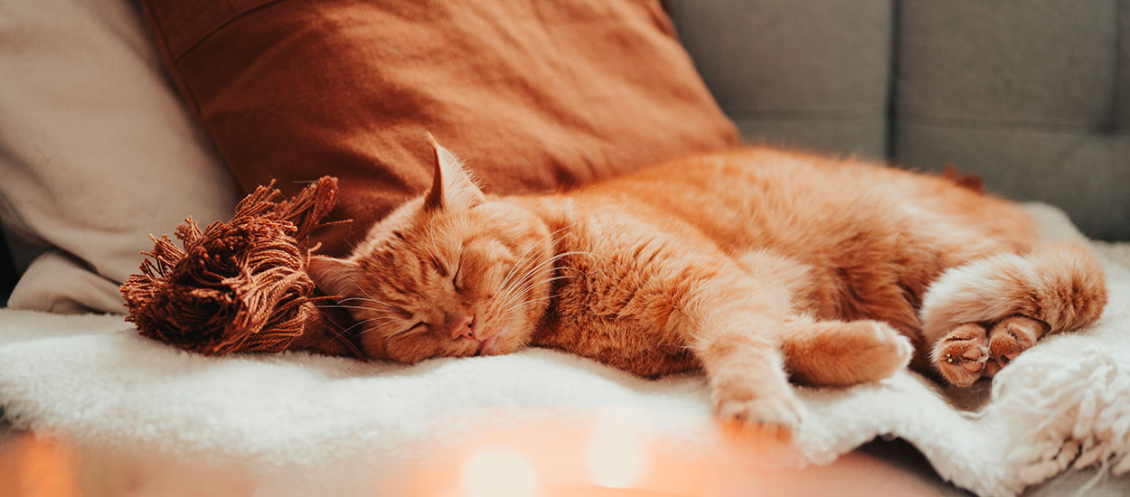 Ces accessoires tout doux pour contrer le retour du froid